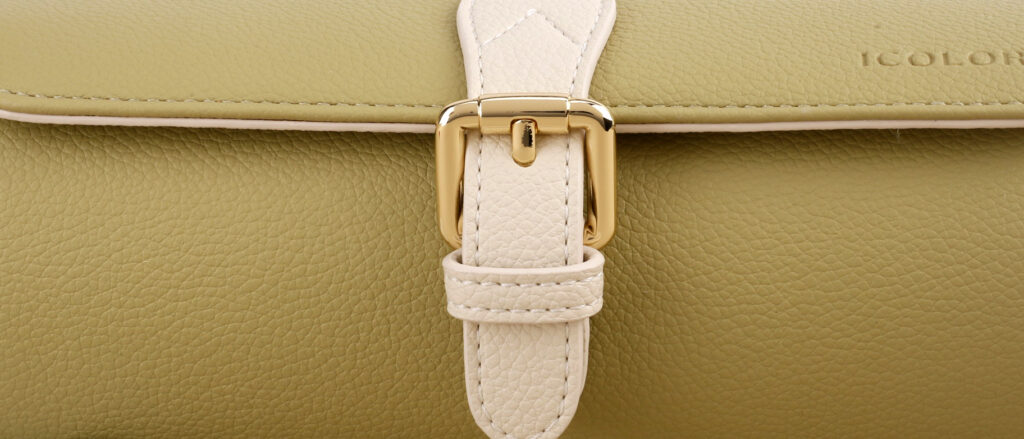 icolor leather watch bag