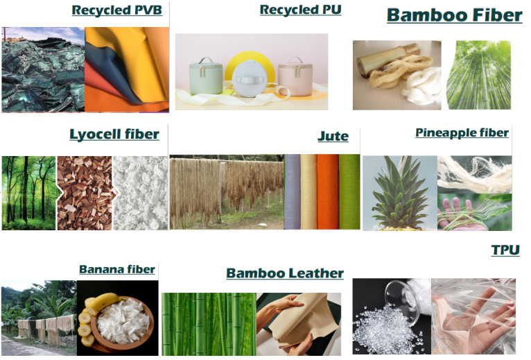 微信图片 20241219151737